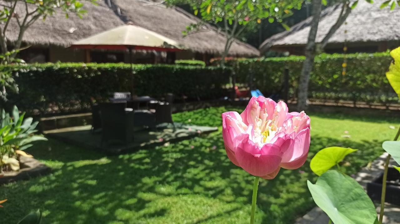 Mama Bella'S Retreat Bed & Breakfast Senggigi Ngoại thất bức ảnh